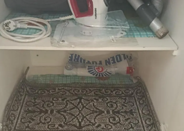 شقة Turtles